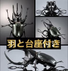【高級カブトムシ】モーレンカンプオオカブト　いきもの大図鑑 ガチャ　フィギュアのサムネイル