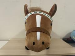 サラブレッドコレクション⭐︎BIGのサムネイル
