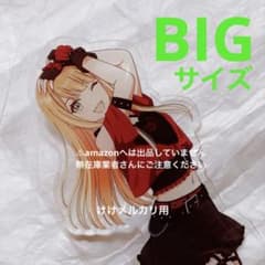 자운청 여름 BIG 아크릴 스탠드 카라철 vol.1 온라인 한정 미개봉