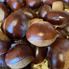 （お値打）無農薬・上州産大きな利平栗１．２ｋｇ・渋皮煮・甘露煮１２のサムネイル