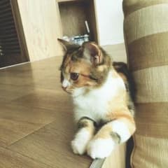 【ゆっき様 専用】のサムネイル