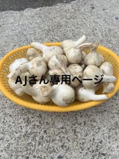 宮城県産 無農薬 ニンニク 8kg 宮城県産 無農薬 ニンニク 8kg - メルカリ