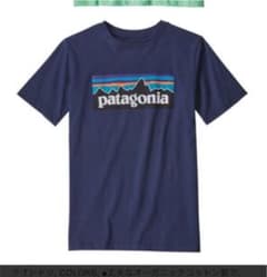パタゴニア ボーイズ Tシャツ①のサムネイル