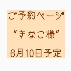 【ご予約】きなこ様専用ページのサムネイル