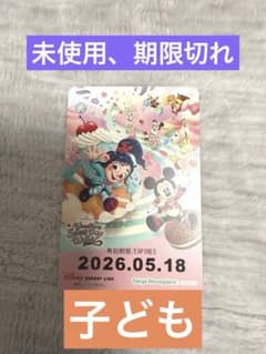 ディズニー　リゾートライン切符　ヴェネロペのサムネイル