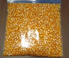 家庭菜園 ポップコーン 2025年産 500g 栽培中農薬不使用 - メルカリ