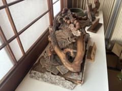 流木オブジェのサムネイル
