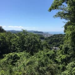 ぜのんくん専用のサムネイル