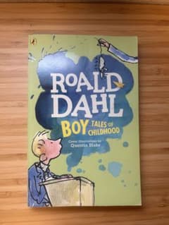 【洋書】BOY Tales of Childhood ダール ※書込シミありのサムネイル