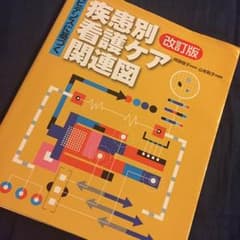 エビデンスに基づく 疾患別看護ケア関連図 改訂版のサムネイル