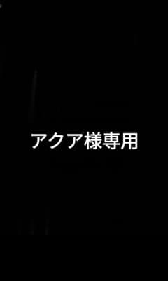 ☆アクア様専用☆のサムネイル