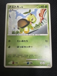 ポケモンカード ナエトル プロモ 017/DP-P とりかえっこ② ポケモンカード ナエトル プロモ 017/DP-P とりかえっこ② - メルカリ
