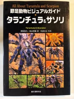 タランチュラ&サソリ (節足動物ビジュアルガイド) 図鑑 標本 ムカデ奇