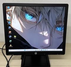 HP ProDisplay P19A 19-inch LCD monitor with VGA connection, black.