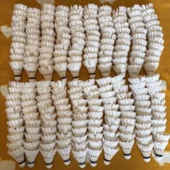 バドミントン ノック用シャトル 220球セット ヨネックス ゴーセン