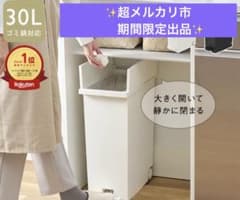 KEYUCA 両開きダストボックス27L ホワイトのサムネイル