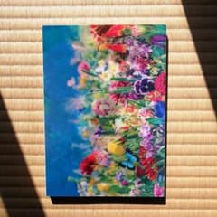earthly flowers,heavenly colorsのサムネイル