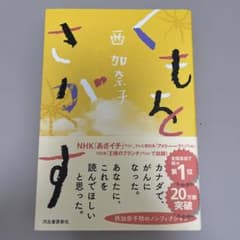 くもをさがすのサムネイル