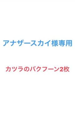 アナザースカイ様専用 カツラのバクフーンのサムネイル