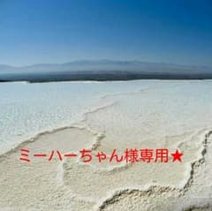 専用★のサムネイル