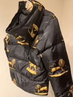 取り置き中  supreme ライオンダウン 国内正規品のサムネイル