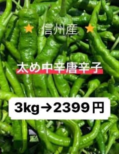 青唐辛子 太め 中辛 3kg 長野県産 信州 産地直送 - メルカリ