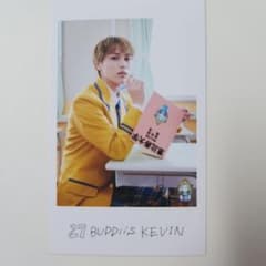 BUDDiiS KEVIN ミニフォトのサムネイル