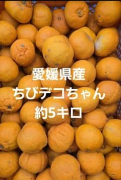 愛媛県産ちびデコちゃん　訳ありのサムネイル
