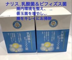 新入荷❣️ナリス 乳酸菌＆ビフィズス菌2箱60袋．賞味期限2027.4月