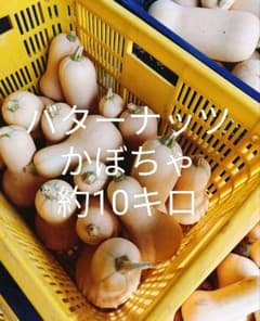 バターナッツカボチャ 約10キロのサムネイル
