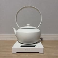 【極美品】 BALMUDA ムーンケトル KPT02JP-WH 電気ケトル