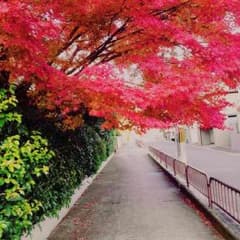 tks様専用のサムネイル