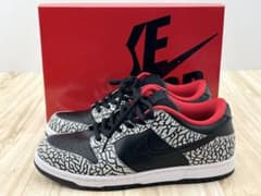 BITE'EM ERROR DUNK LOW PRO SB 29.0cm - メルカリ
