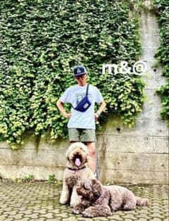 Subculture CORDUROY SHORTS / OLIVE キムタク Subculture CORDUROY SHORTS / OLIVE キムタク - メルカリ