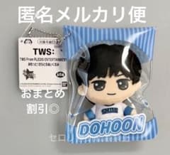 TWS 미치토! 키라도루 봉제인형 마스코트 DOHOON 도훈