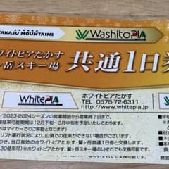 irc- zawa様専用　チケット2枚のサムネイル