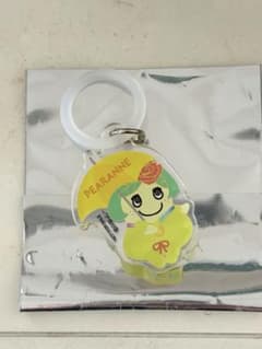 ふなっしー激レアチャーム ふなっしーLAND - メルカリ