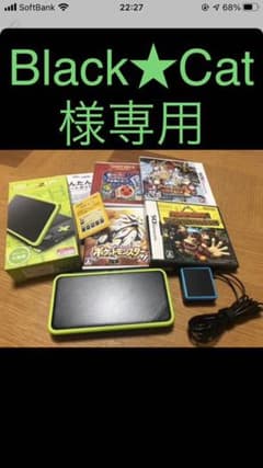 DS本体・SDカード・充電器のサムネイル