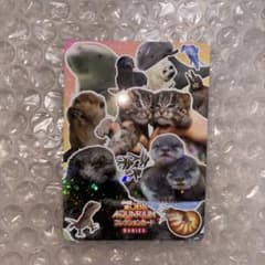 バラ売り100円】鳥羽水族館 コレクションカード（とレカ） | Shop at
