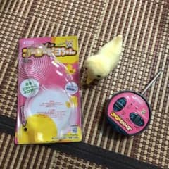 ゴーゴー　ピヨちゃんのサムネイル