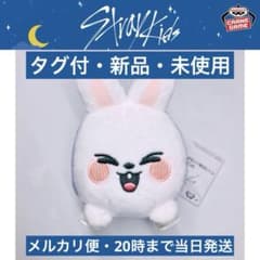 GIGO SKZOO くっつきぬいぐるみ リービット straykids - メルカリ