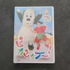 【新品未使用】NHK DVD いないいないばあっ!ピカピカブ～!のサムネイル