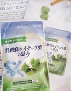 乳酸菌&イチョウ葉の恵み 60粒❤️新品 未開封❤️ - メルカリ