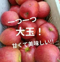 【大特価】✨️信州農家✨️シナノスイート✨️家庭用箱込み10キロ以上！のサムネイル
