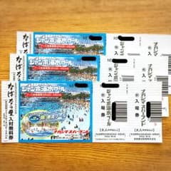 【エルサ様専用】ナガシマスパーランド ジャンボ海水プール入場券のサムネイル