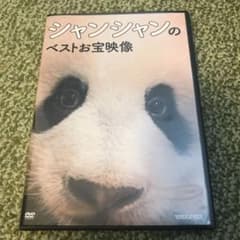 シャンシャンのベストお宝映像　DVDのサムネイル
