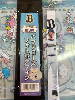 オリックスバファローズ 宗佑磨 フォトボンフィン 2023年のサムネイル
