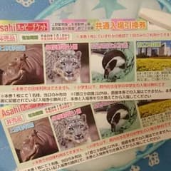 【トトロさん専用】ハッピーチケット 入場引換券のサムネイル