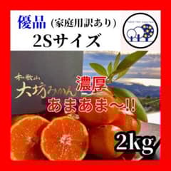 ②温州みかん 樹熟大坊みかん 優品(家庭用傷あり)2Sサイズ10kg ②温州みかん 樹熟大坊みかん優品(家庭用傷あり)2Sサイズ2kg - メルカリ