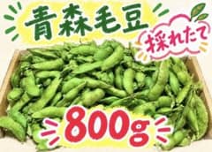 枝豆　採りたて　青森産　A品 採れたて 青森つがる毛豆 800g - メルカリ